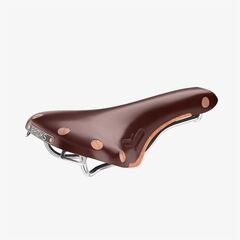 Swift Saddle Brown