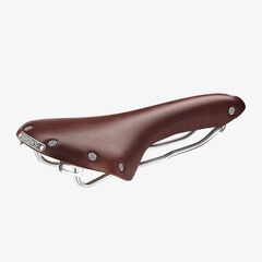 Swallow Saddle Brown