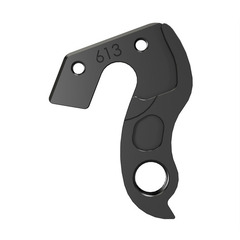 Derailleur Hanger 613