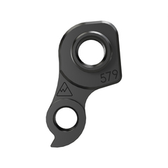 Derailleur Hanger 579